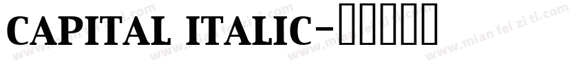 capital italic字体转换
